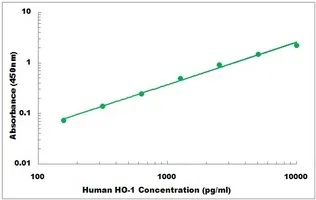 “氧化应激”生物标志物8