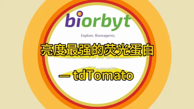 tdTomato荧光蛋白视频