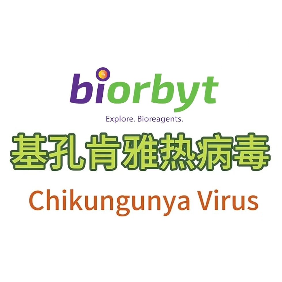 基孔肯雅热检测与疫苗研究