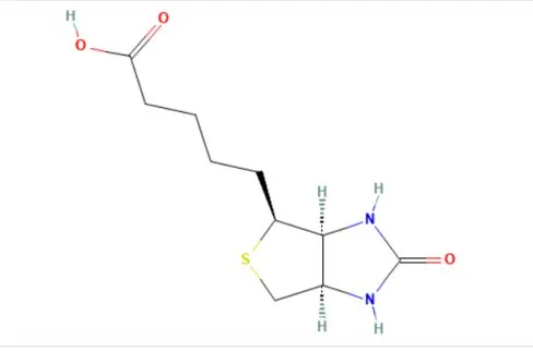 Schematic of biotin as a universal tag