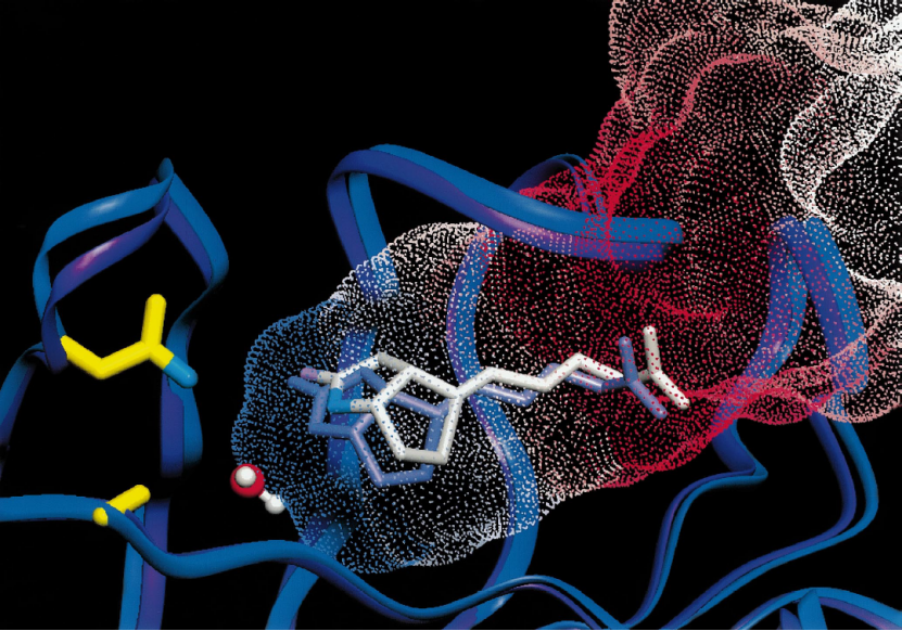 Streptavidin-Biotin System Interaction