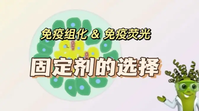 免疫组化固定剂选择视频
