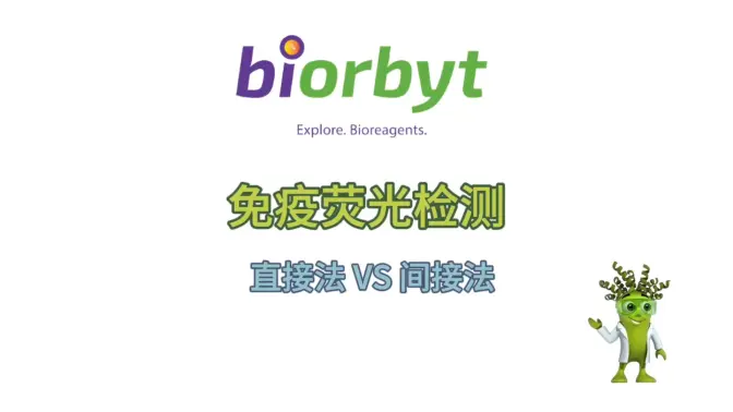 免疫荧光直接法与间接法视频