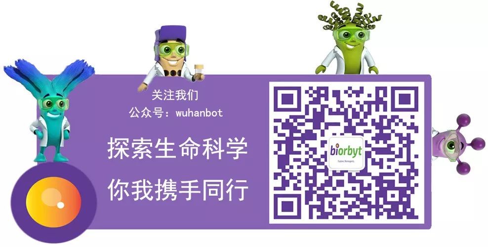 关注我们公众号(1)