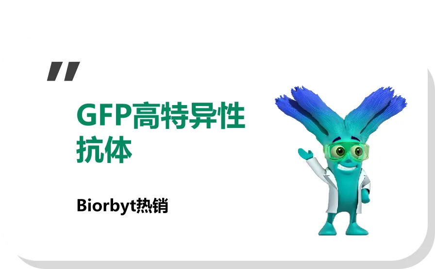 产品介绍配图