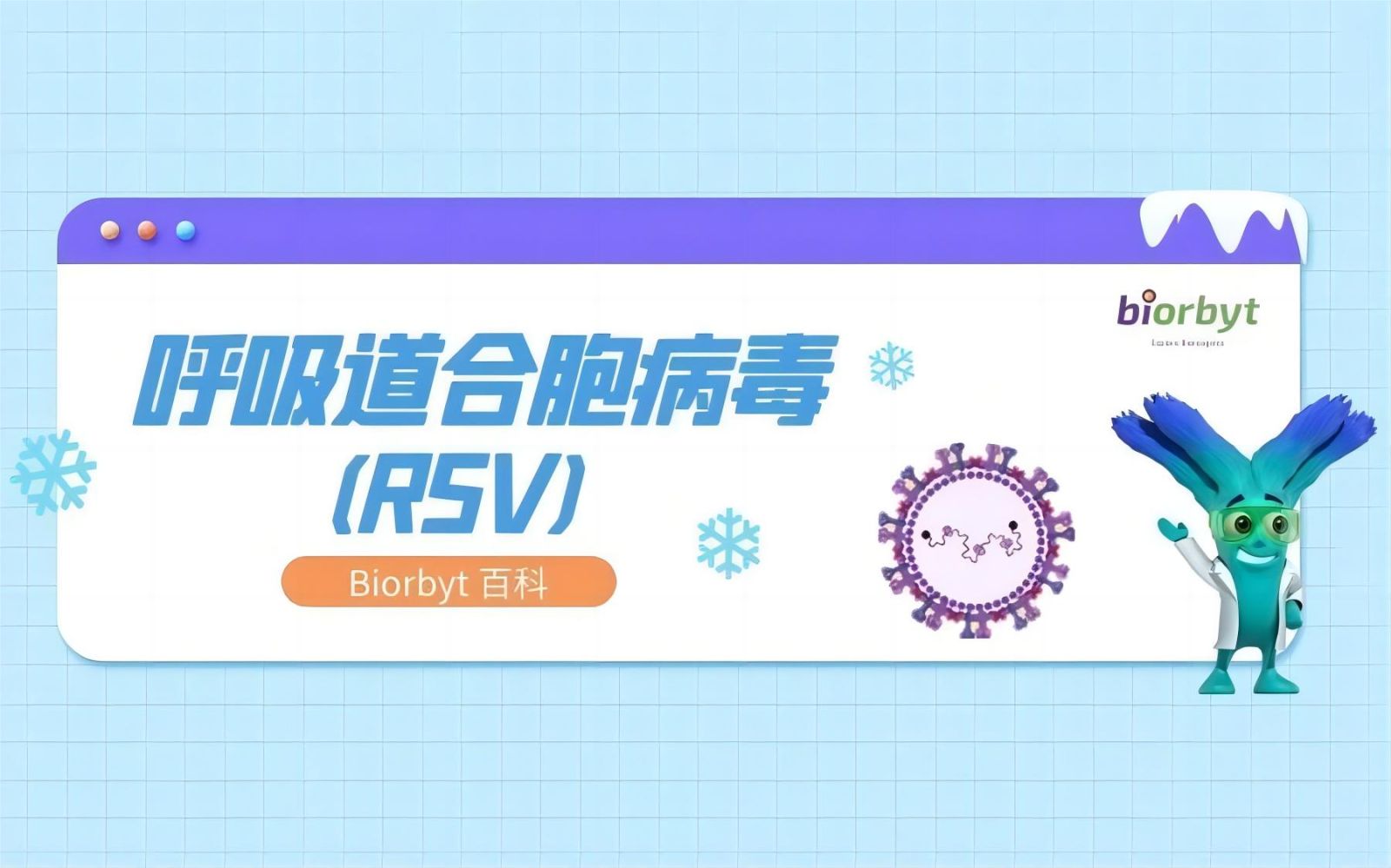呼吸道合胞病毒及热门靶点