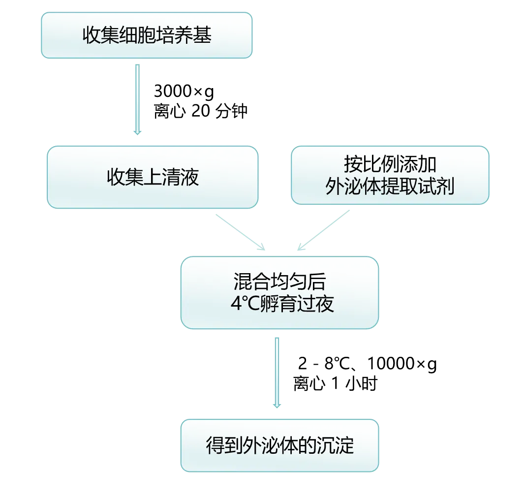 和 DeepSeek 一起探索“外泌体”的奥秘4