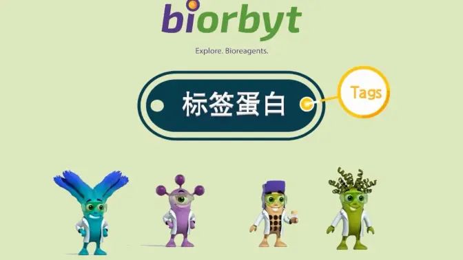 标签蛋白视频