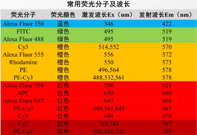 标记抗体到底好在哪?2