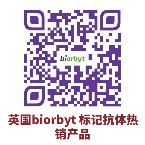 标记抗体到底好在哪?3