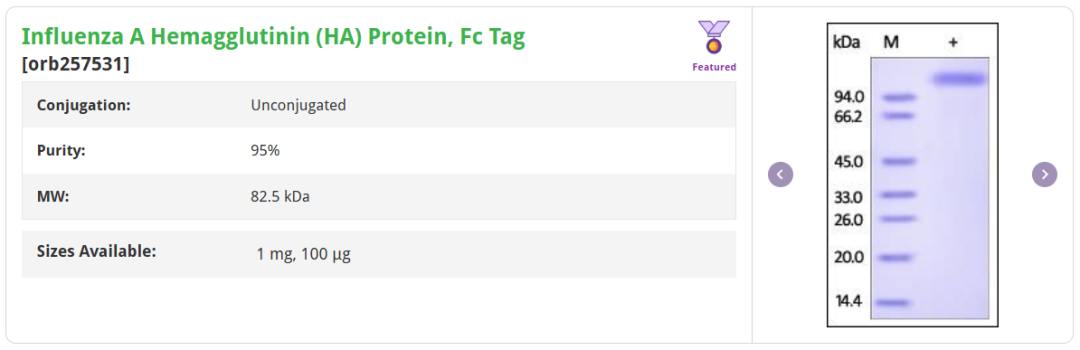 Product List 1