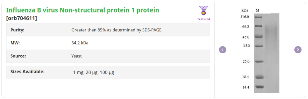 Product List 6