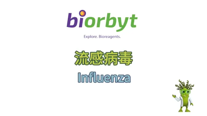 流感病毒科普视频