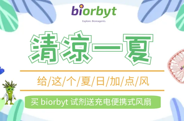 清凉一夏，给这个夏日加点 “风”