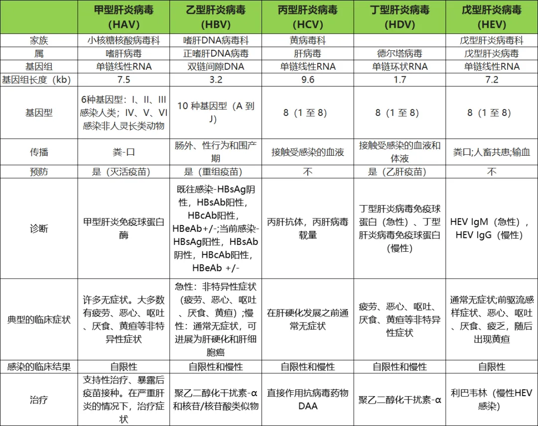 病毒性肝炎1