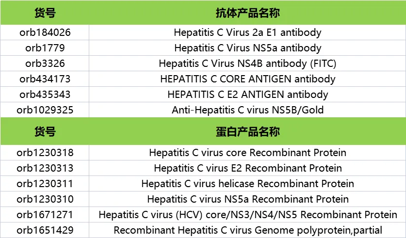 病毒性肝炎2