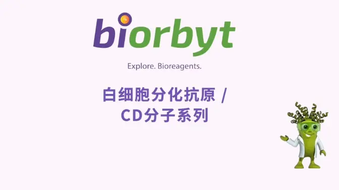 白细胞分化抗原CD分子视频