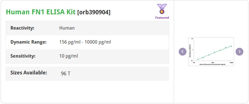 纤连蛋白Fibronectin:细胞外基质的“多维”调控者8