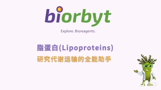 脂蛋白科普视频