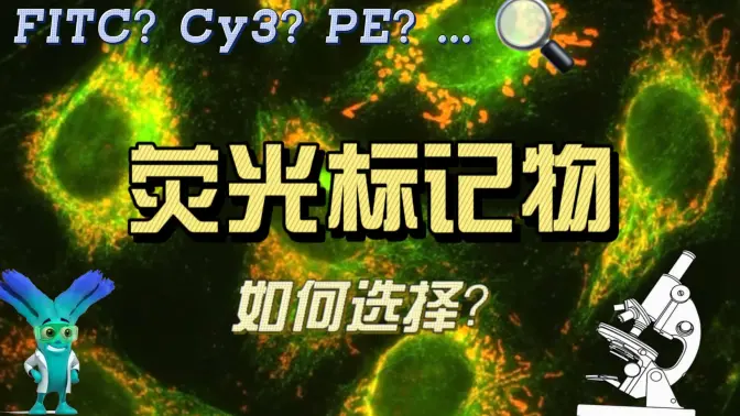 荧光标记物选择视频