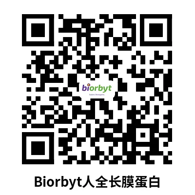 药物靶点功能性蛋白:人全长膜蛋白-合成纳米圆盘(Synthetic Nanodisc)系列4