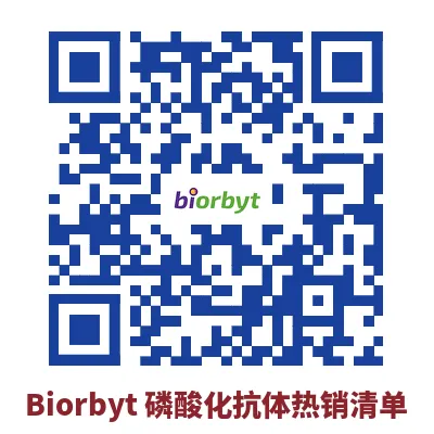 蛋白质磷酸化如何检测4