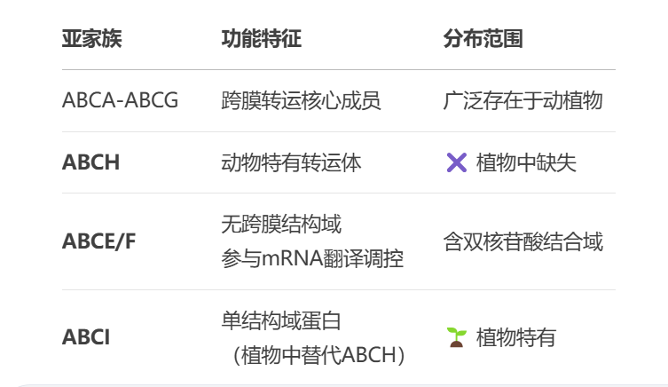 解码ABC转运蛋白——跨膜运输的超级家族1