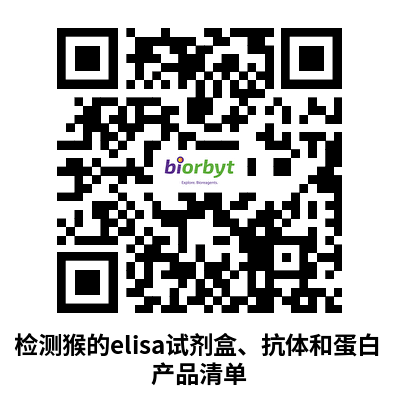 超越“模型”,作为“人类替身”的猴类:全面解析猴类当前科研热点10