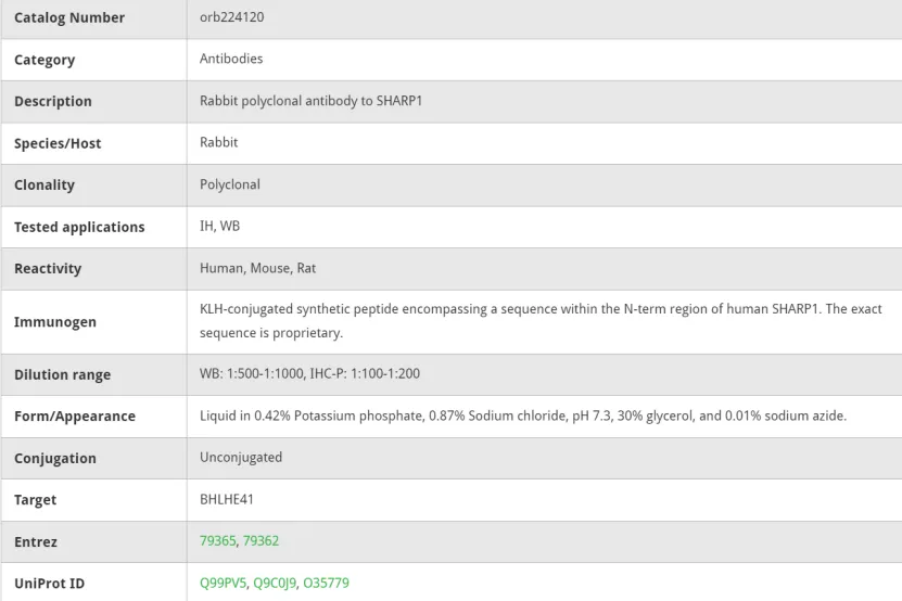 转录因子BHLHE402