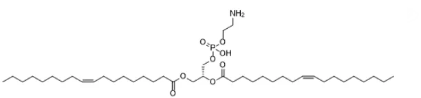 Lipid Nanoparticles 5