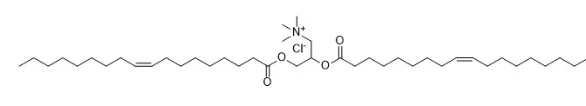 Lipid Nanoparticles 7