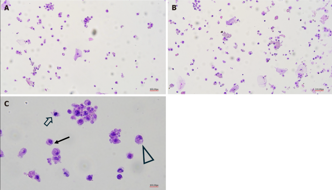 CD133抗体 Biorbyt明星抗体又收录一篇文献,是关于母乳的研究1