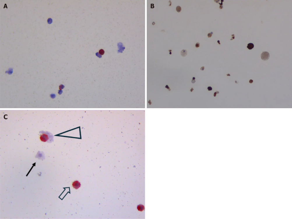 CD133抗体 Biorbyt明星抗体又收录一篇文献,是关于母乳的研究2