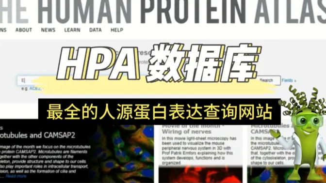 Human Protein Atlas网站使用指南视频
