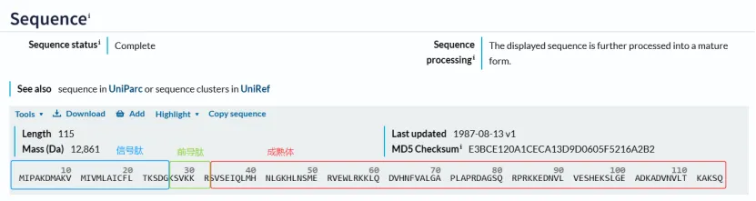 PTH前体蛋白preproPTH的信号肽、前导肽和成熟PTH序列区间示意图
