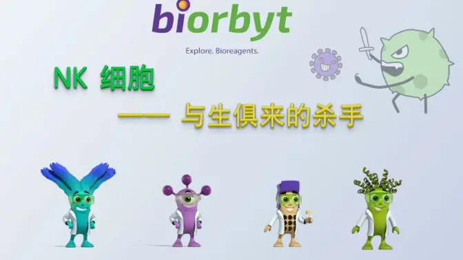 NK细胞科普视频