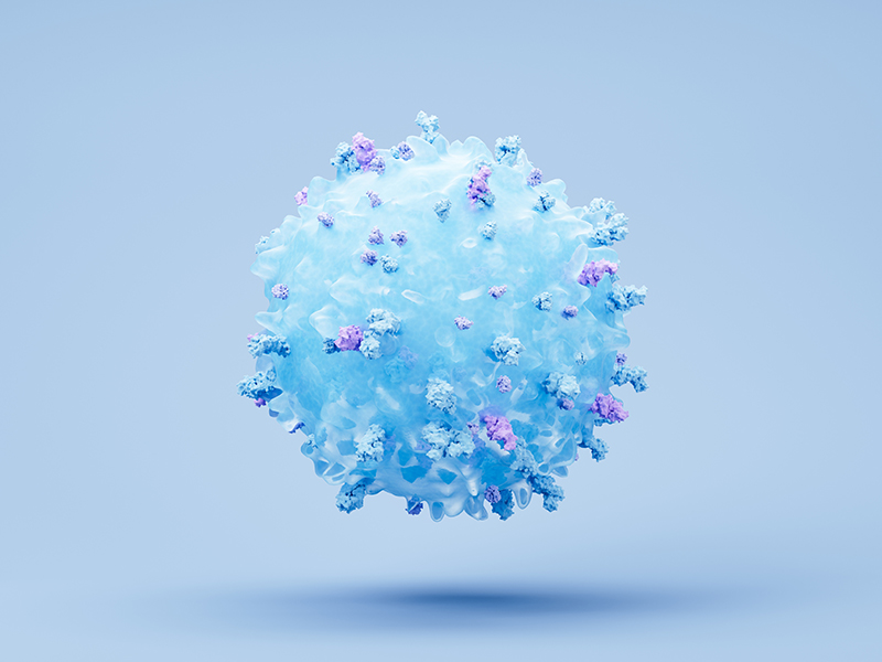 CD Antigens: Clusters of Differentiation