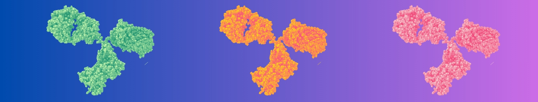 Three colourful antibody molecules in a row with a gradient background.