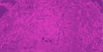 Cell Penetrating Peptides