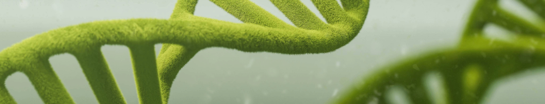 Plant Hormones Background