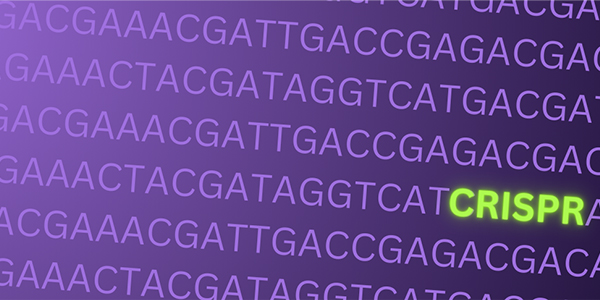 Explore CRISPR