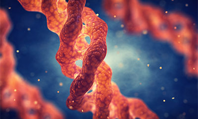 Cell Biology