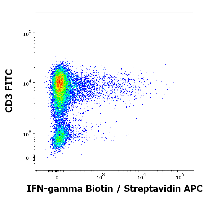 orb179917 - IFN gamma antibody (Biotin)