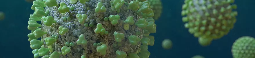 Coronavirus