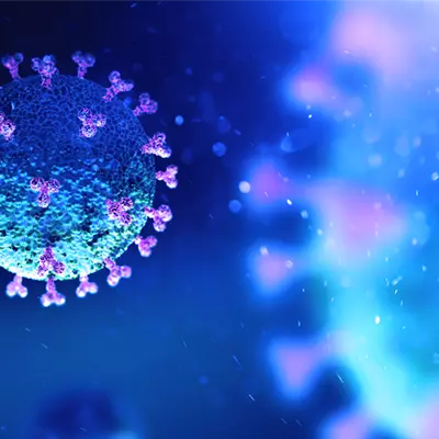Novel Spike Protein