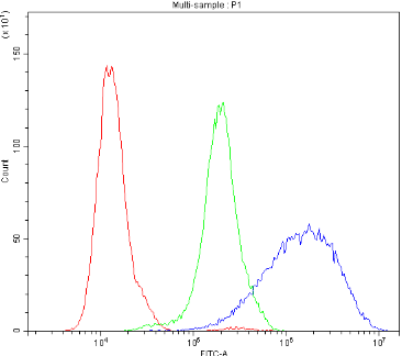 Aquaporin 3/AQP3 Rabbit Polyclonal Antibody