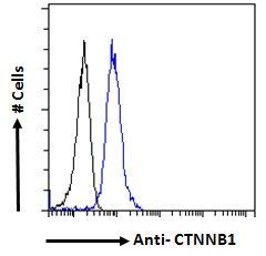 CTNNB1/catenin beta-1 Antibody