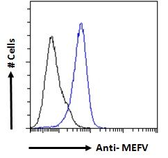 Goat anti-MEFV Antibody