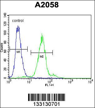TEX261 Antibody (C-term)