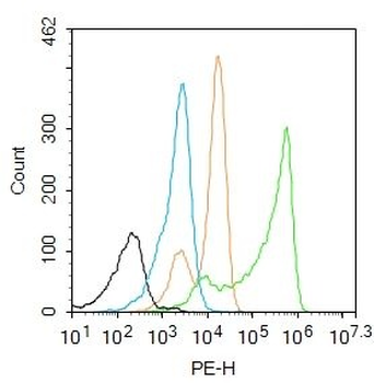 UBE2V1 Polyclonal Antibody